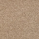 Invictus Severus Carpet