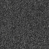 Eleganza Carpet