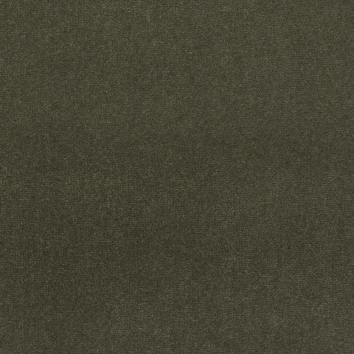 Royal Velvet Carpet