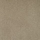 Heartland Ultra Carpet