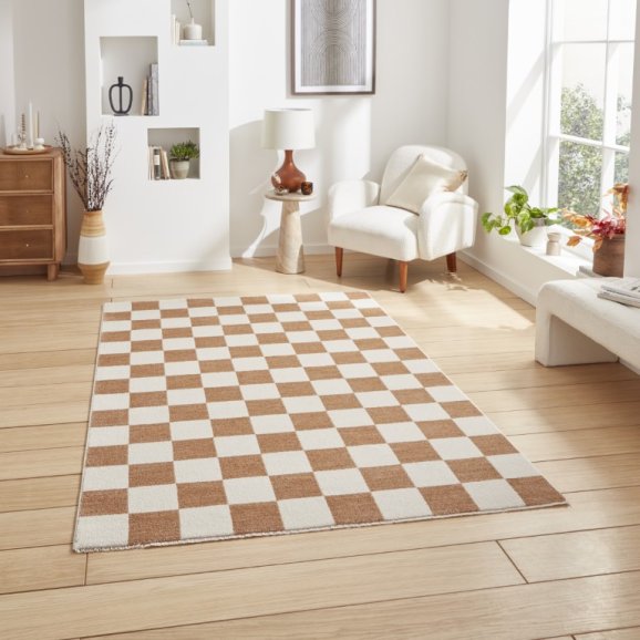 Baltimore 66618 Modern Rug Collection