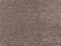 Embrace Carpet