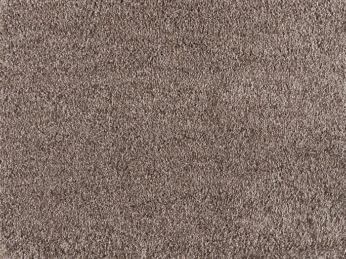 Embrace Carpet
