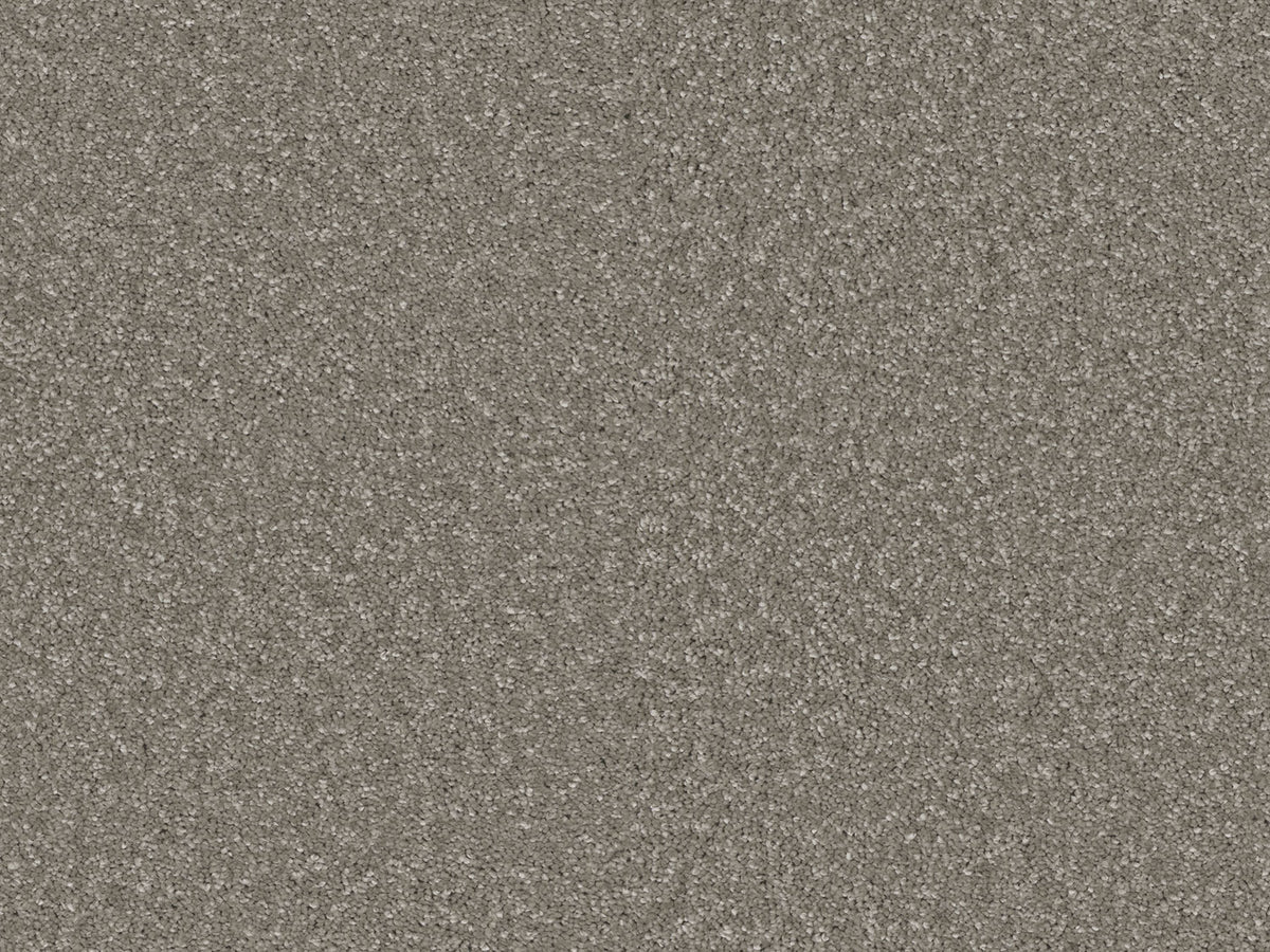 Elegante Carpet