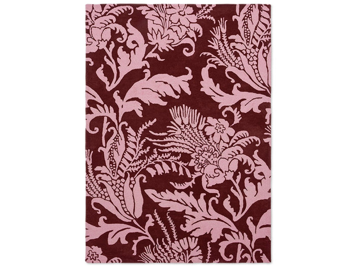 Ted Baker Rugs - Baroque Pink