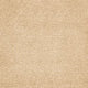 Tigris Carpet
