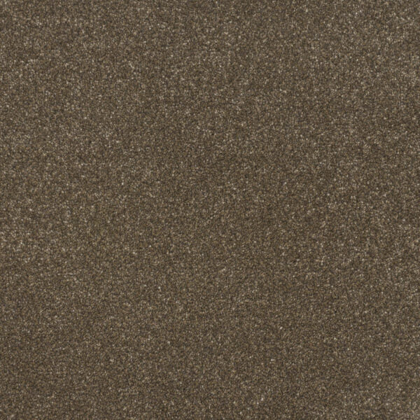 Pinnacle Carpet