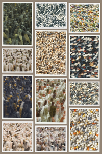 Brink & Campman Rugs - Rocks (Multiple Colours Available)