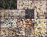 Brink & Campman Rugs - Dots (Multiple Colours Available)