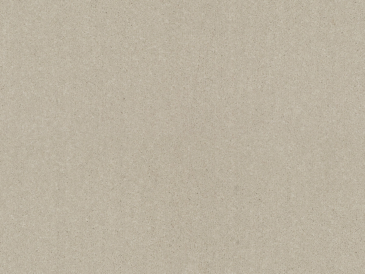 Chic Carpet