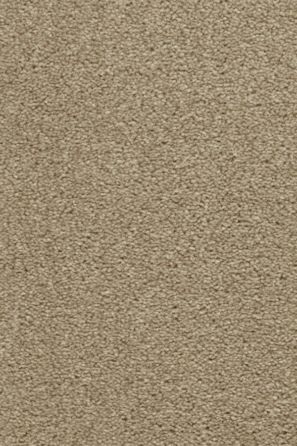 Montreal Deluxe Carpet