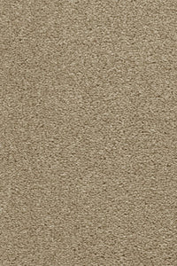 Montreal Deluxe Carpet