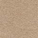 Sirius Carpet