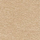 Sirius Carpet