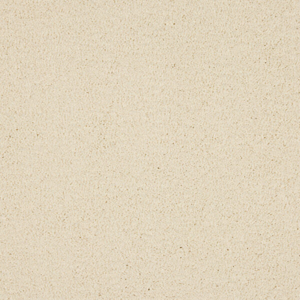 Seduction Carpet