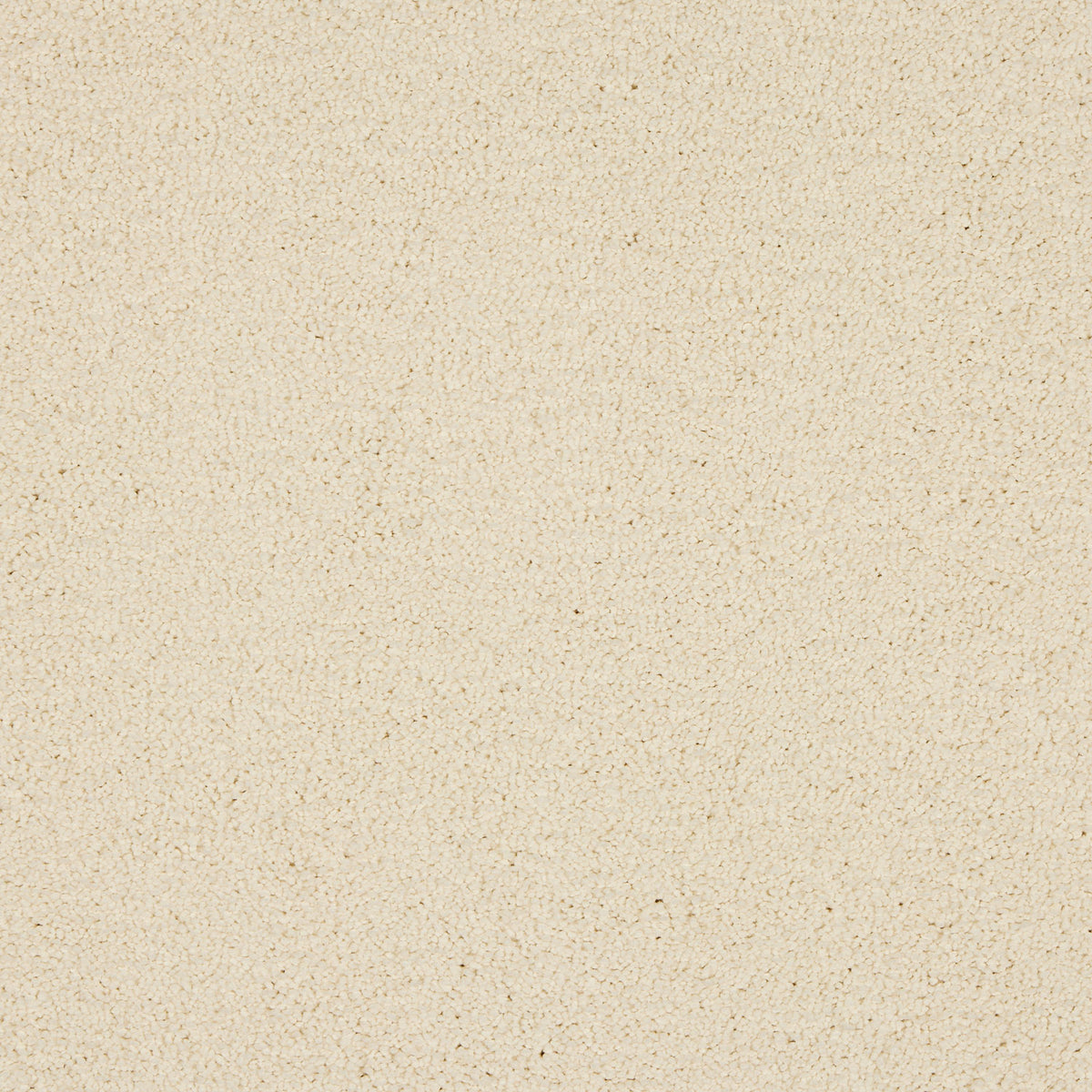 Opulent Living Carpet