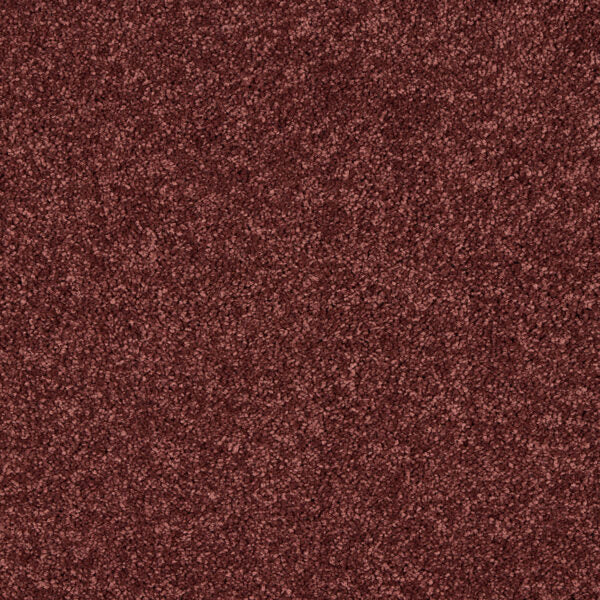 Seduction Carpet