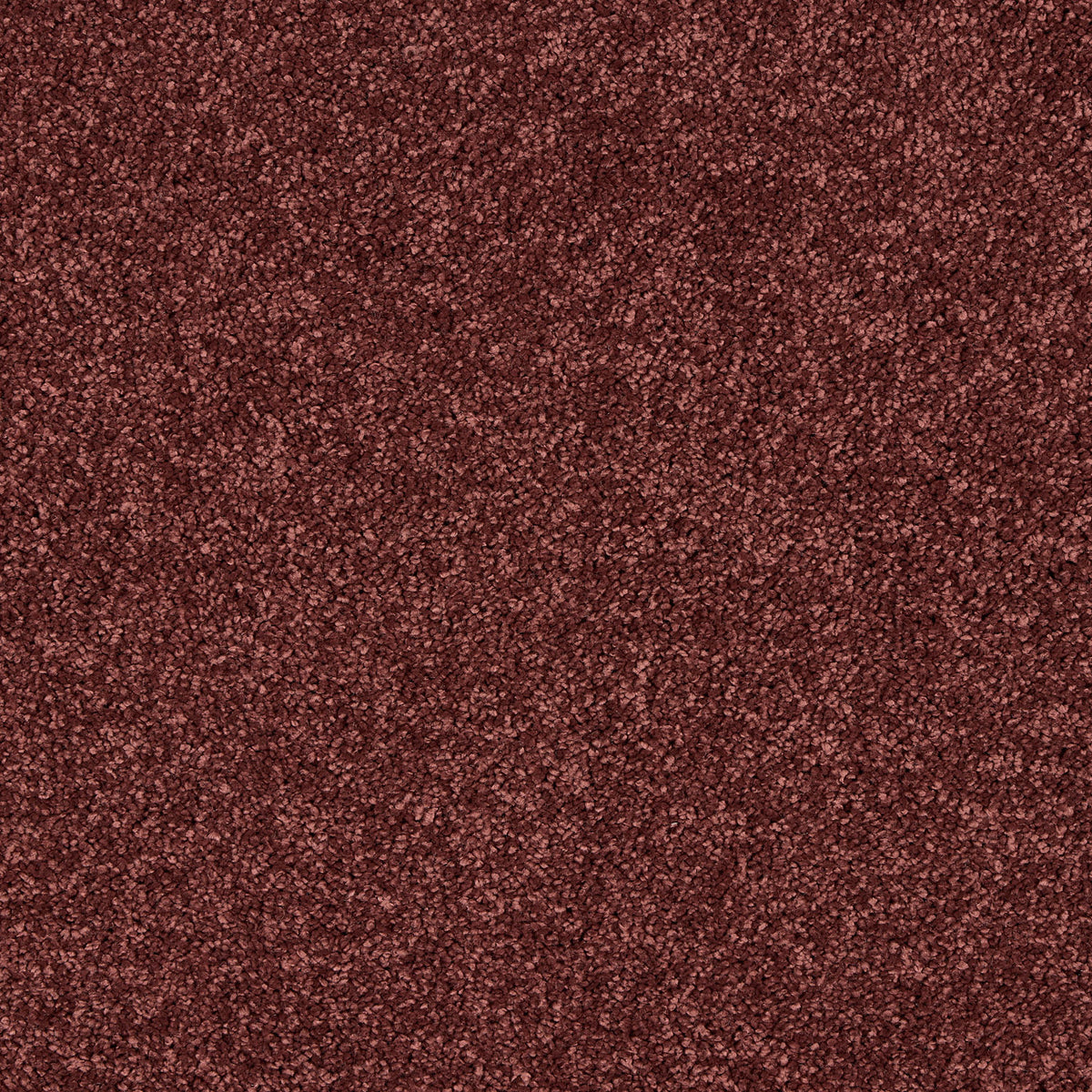 Opulent Living Carpet