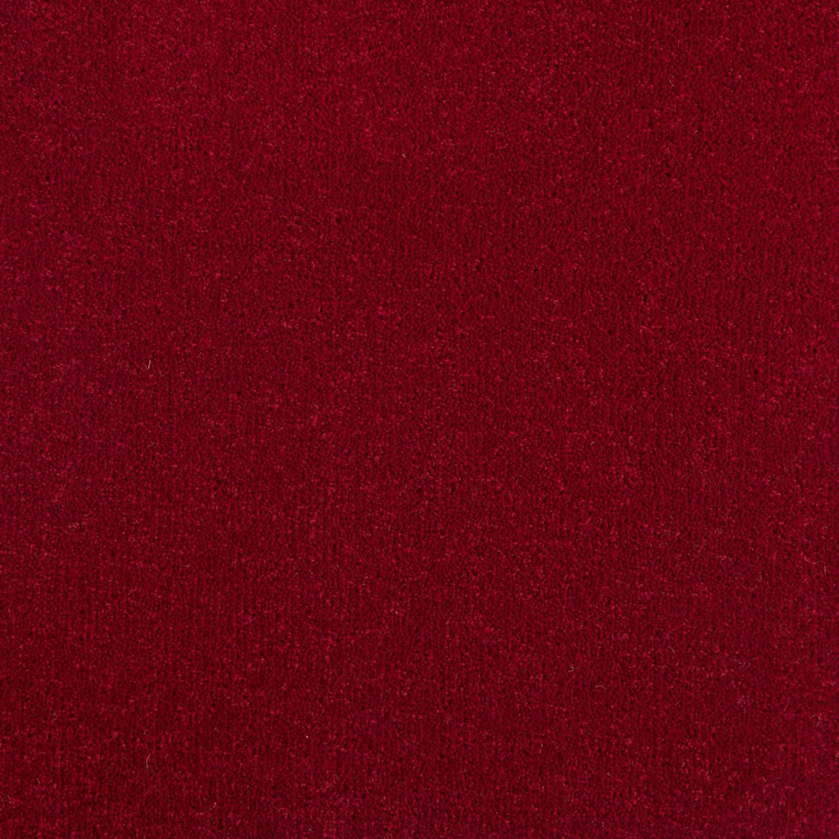 Rigoletto 40oz Carpet