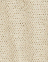 Altere Carpet