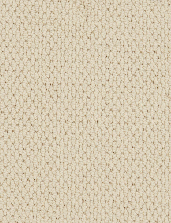 Altere Carpet