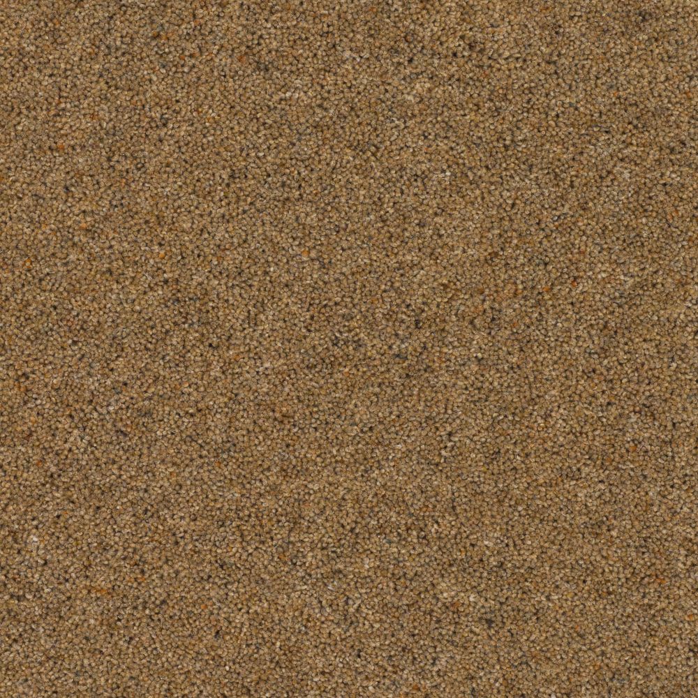Glen Dullan 57oz Carpet