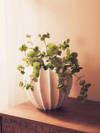 Broc Accessory Collection - White
