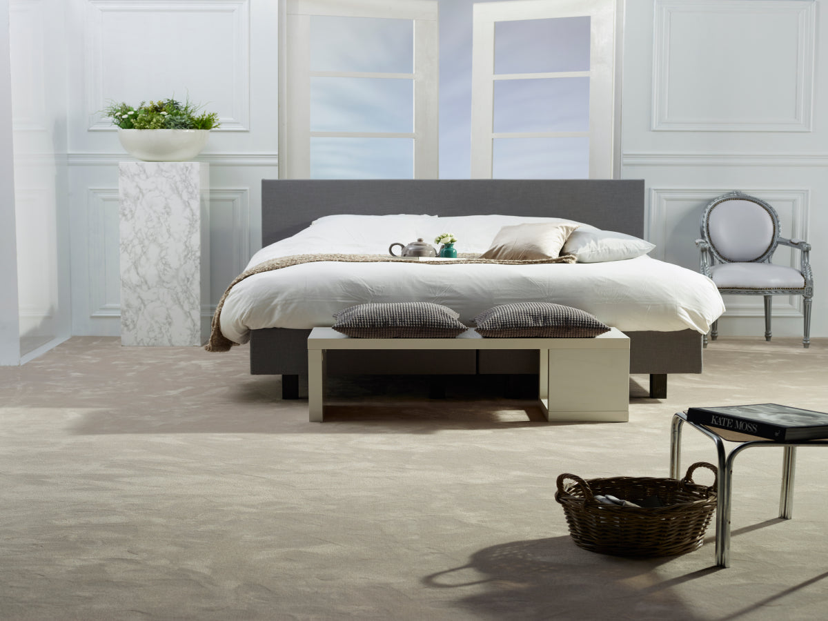Chablis Carpet - ITC
