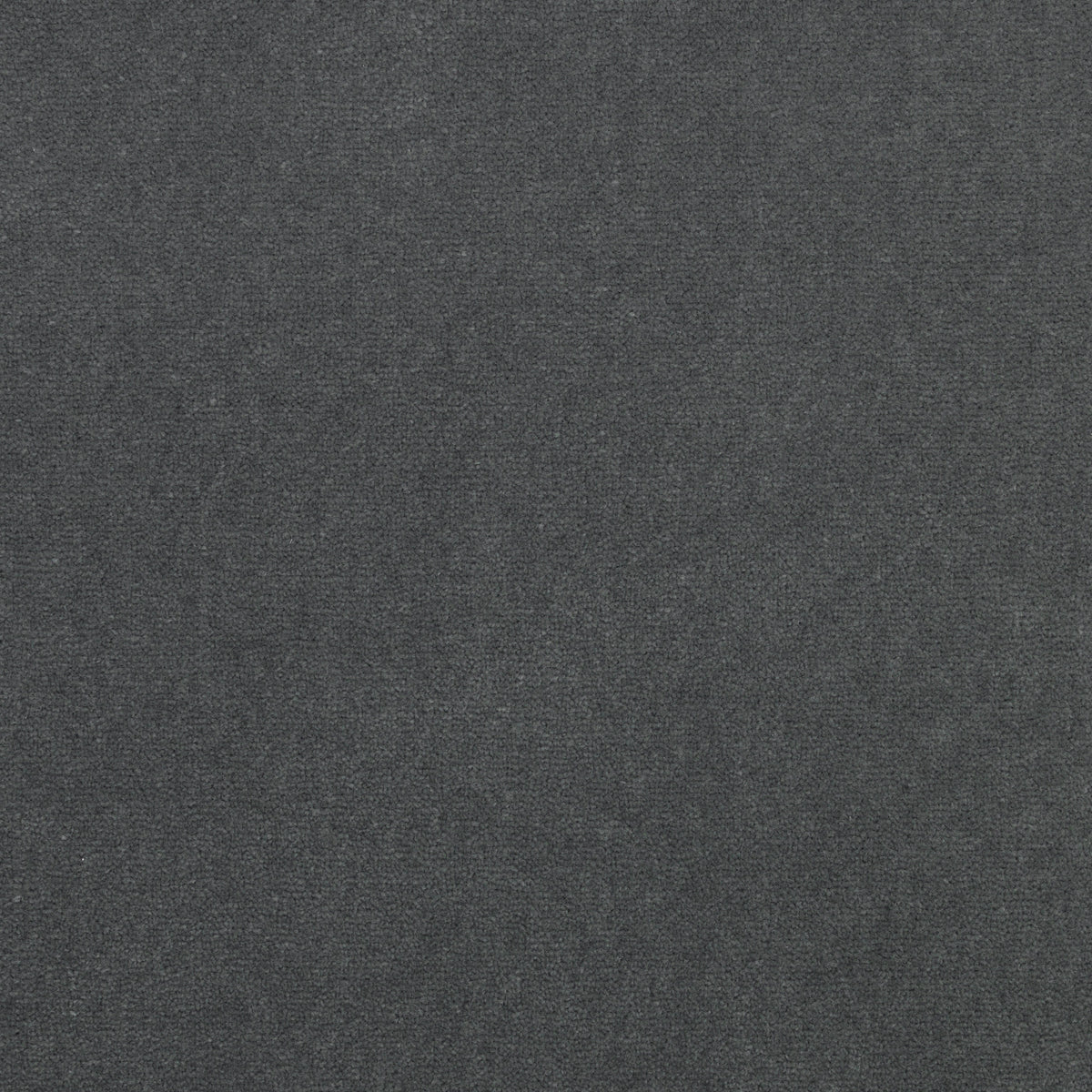 Royal Velvet Carpet