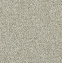 Lusso Carpet