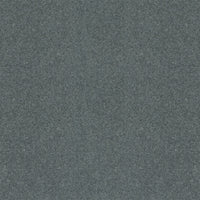 Spectrum Twist Classic 42oz Carpet
