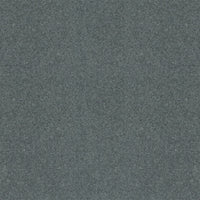 Spectrum Twist Regal 53oz Carpet