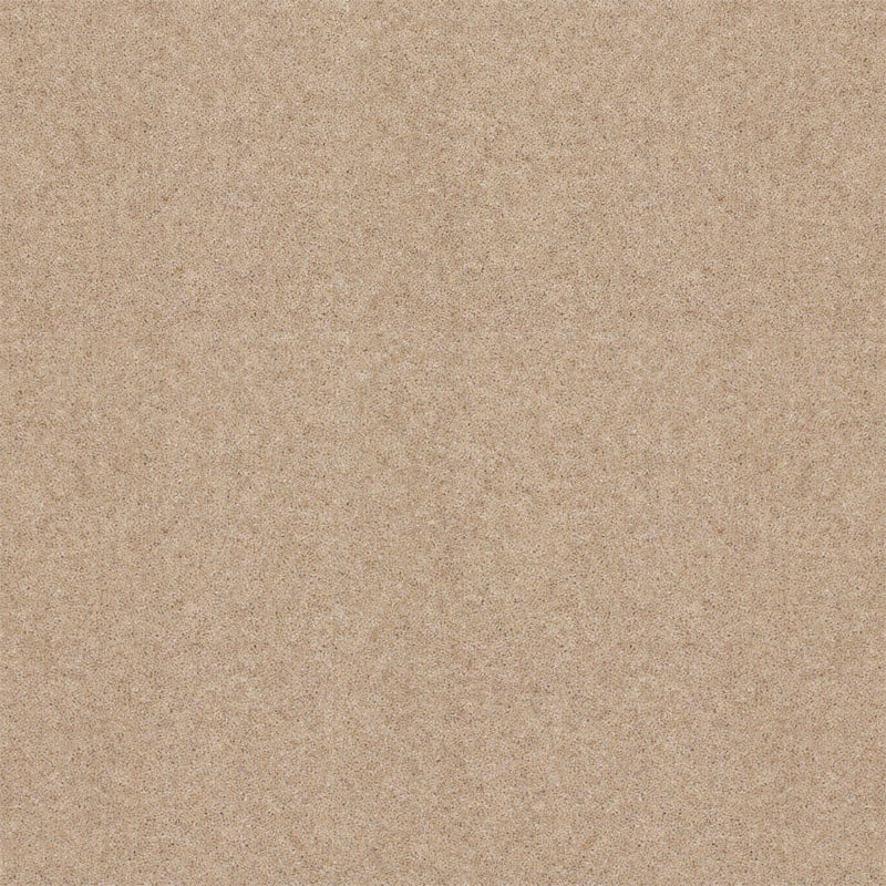 Spectrum Twist Classic 42oz Carpet
