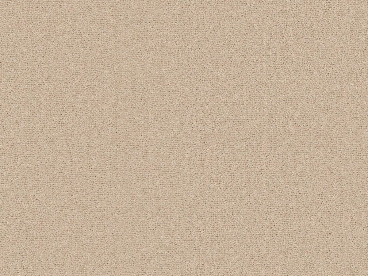 Terra Rosa Carpet