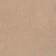 iSense Splendour Carpet