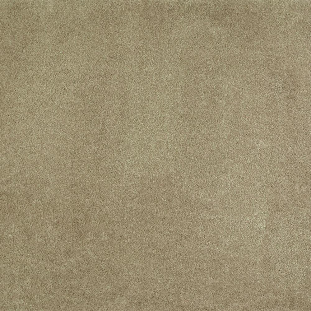 iSense Obsession Carpet