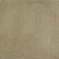 iSense Obsession Carpet