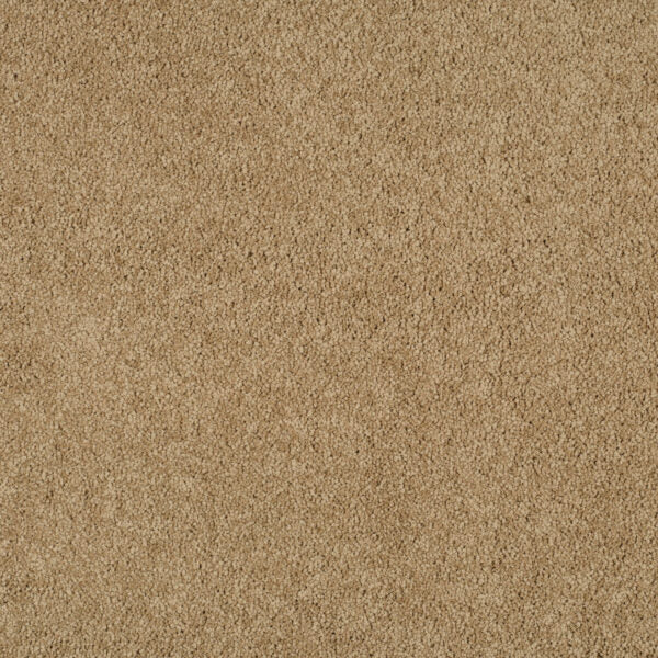 Magical Feeling Carpet
