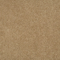 Magical Feeling Carpet