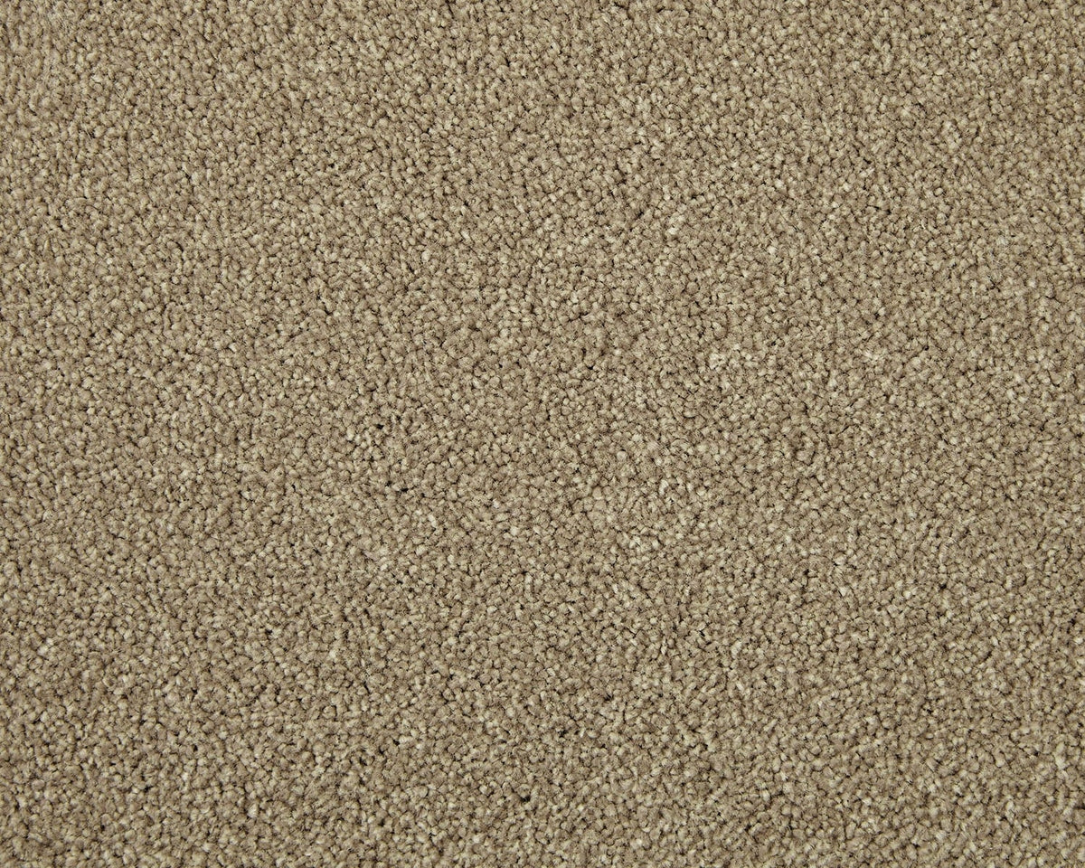 Trojan Elite Carpet
