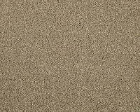Trojan Elite Carpet