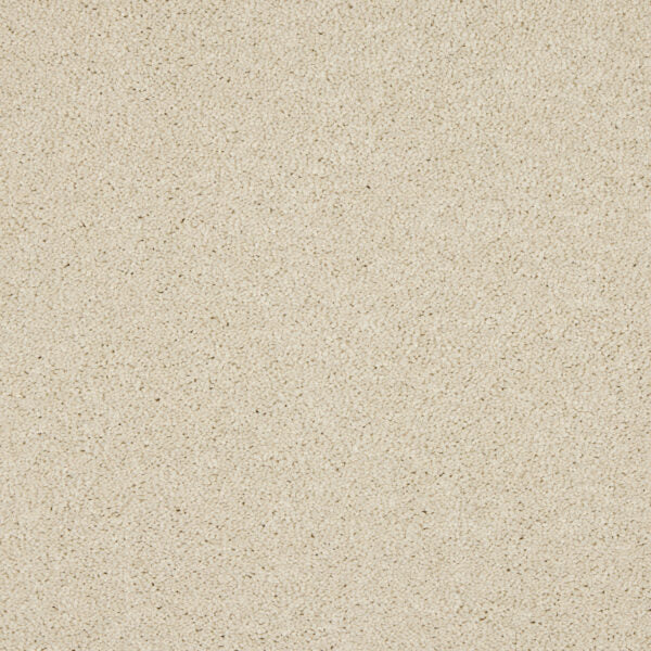 Seduction Carpet