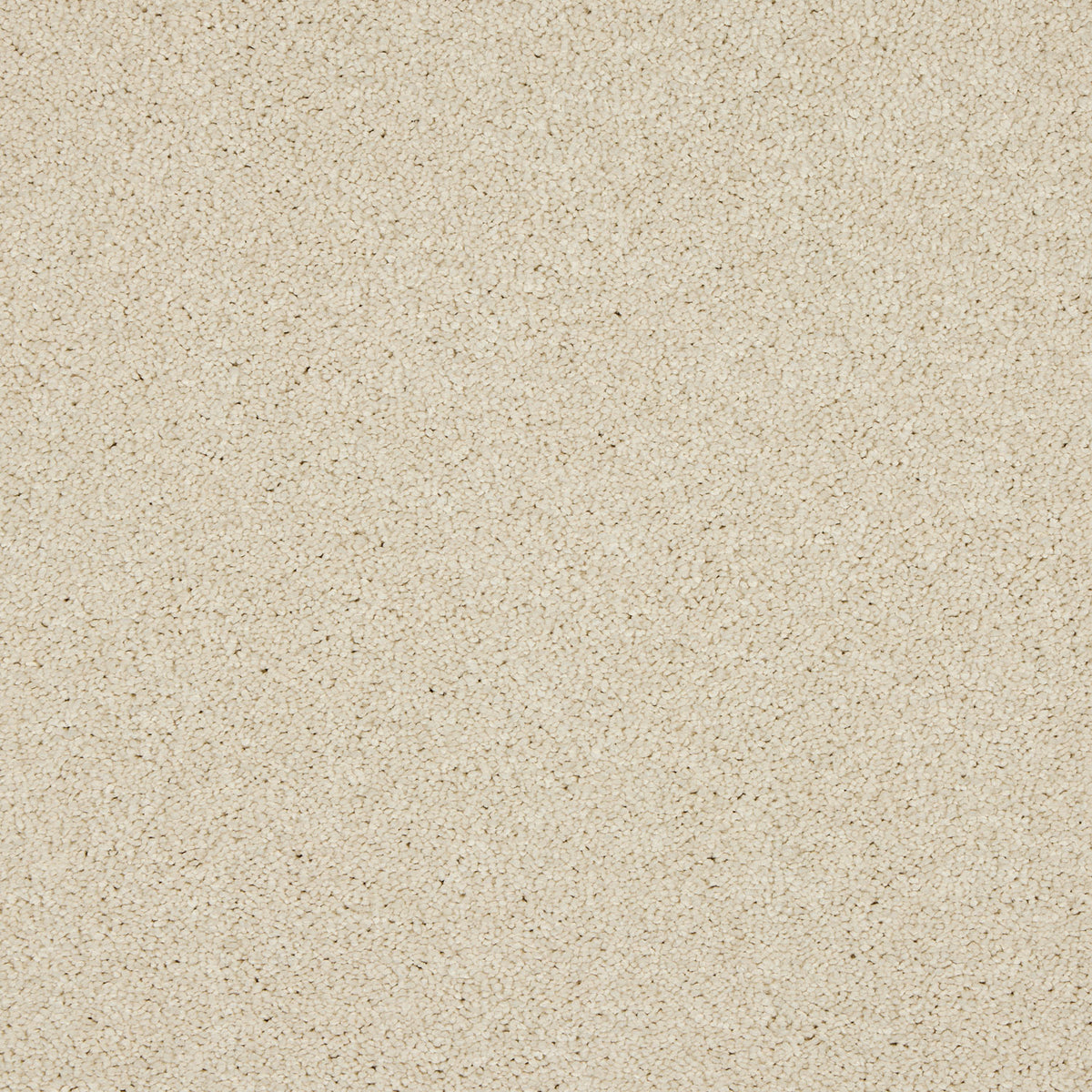 Opulent Living Carpet