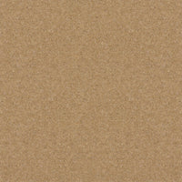 Spectrum Twist Classic 42oz Carpet