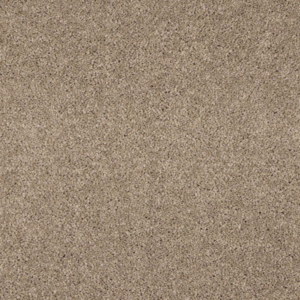 Seduction Carpet
