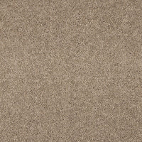 Seduction Carpet