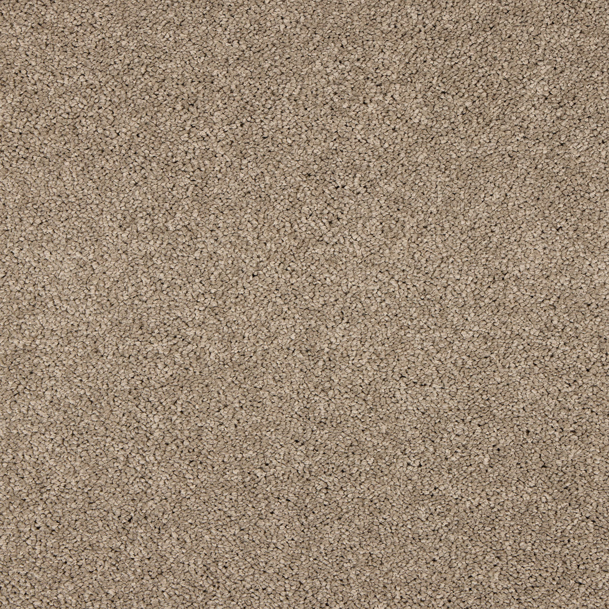 Opulent Living Carpet