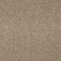 Opulent Living Carpet