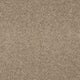 Opulent Living Carpet