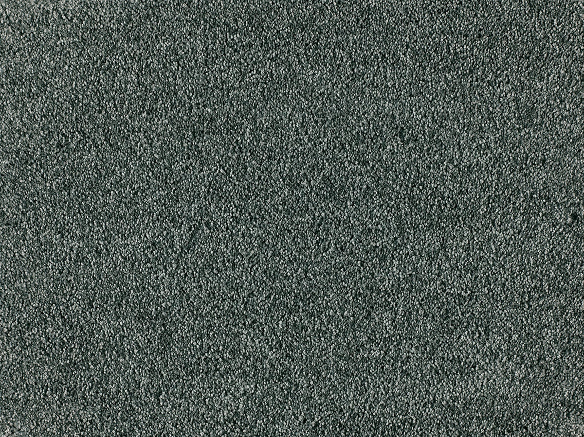 Embrace Carpet